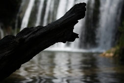 Photo d'un morceau de bois devant un cascade