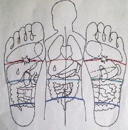 Schéma du corp humain et de l'équivalence sur les pieds